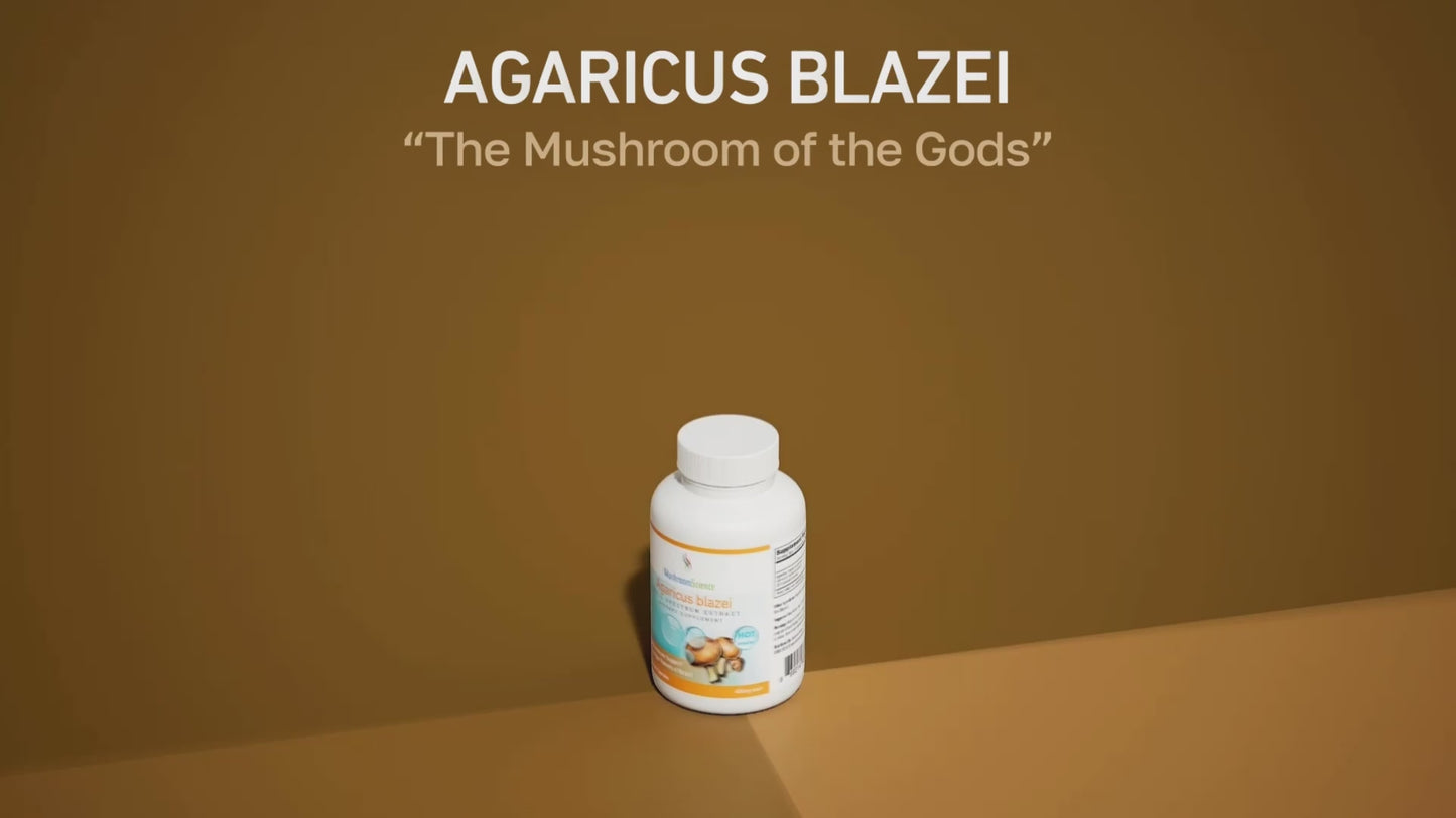 Agaricus blazei